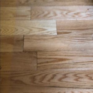 Meet your Posher, Elelise